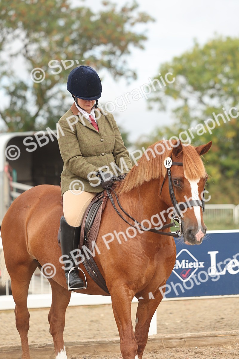 SBM_01946 - Class 14 - Ridden M&M Wildcard