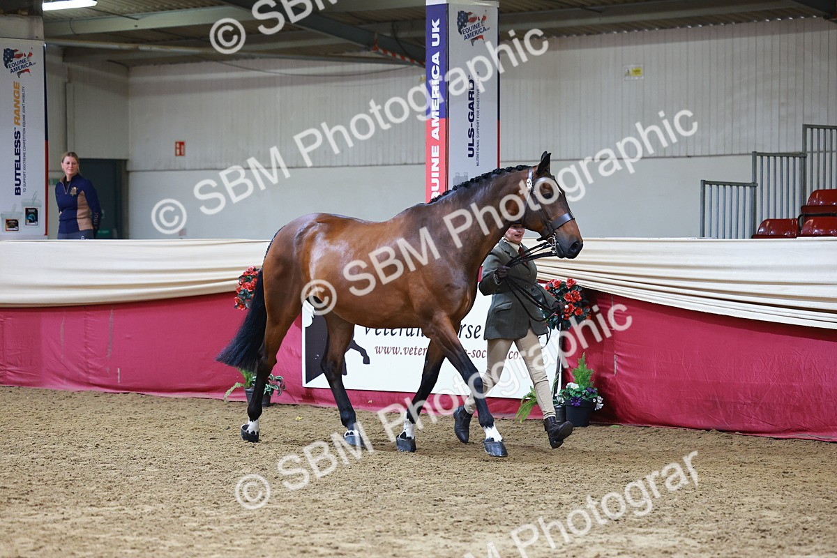 SBM_22283 - Class 902 - Supreme Final - IH Diamond