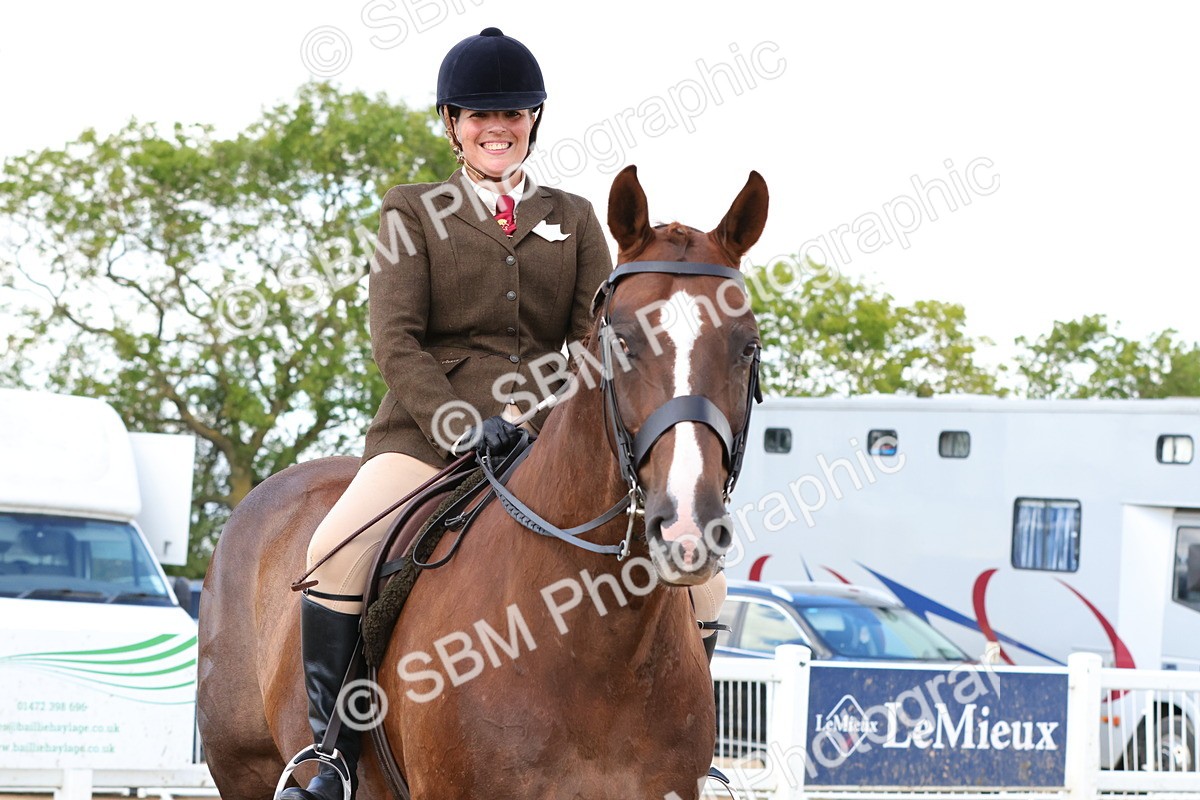 SBM_13539 - Class 212 - Ridden Hunter  - Large