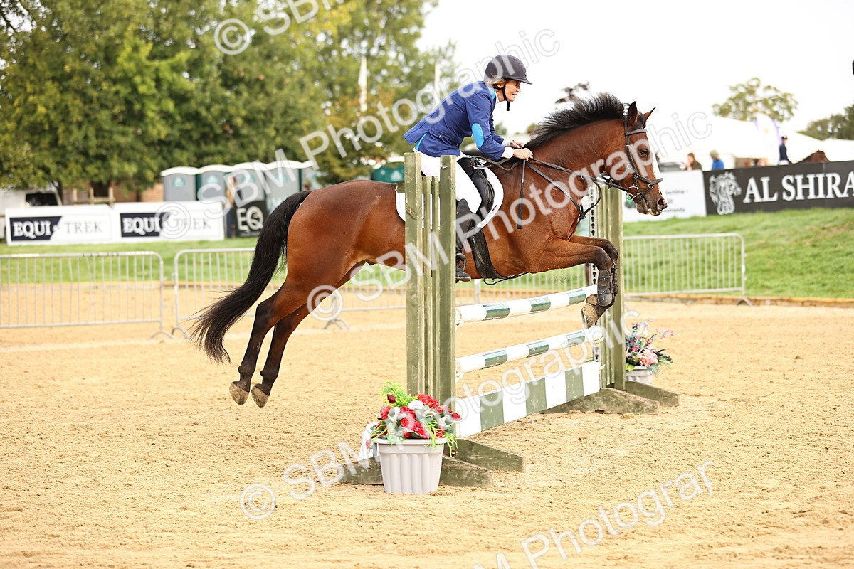 SBM_58245 - J41 - Grand Tour Horse & Pony 95cm