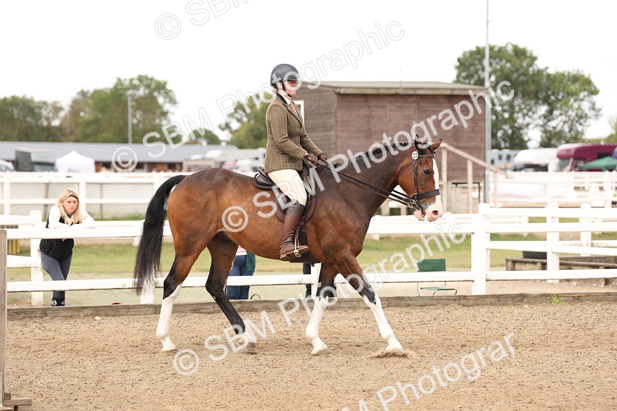 SBM_02878 - Class 53 - Ridden Competition Horse/Pony