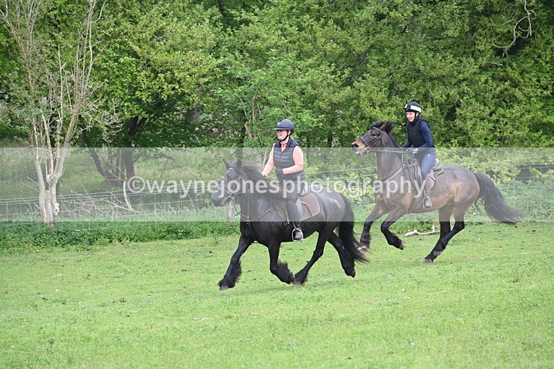 WJ6_2655 - A camera