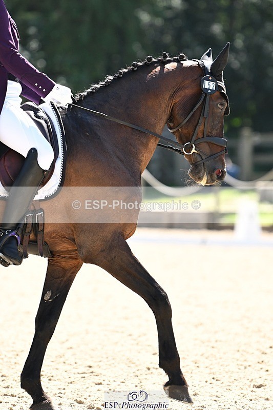 240811-150151-06582 - 153-Nicola.Kayes-BOSS.X