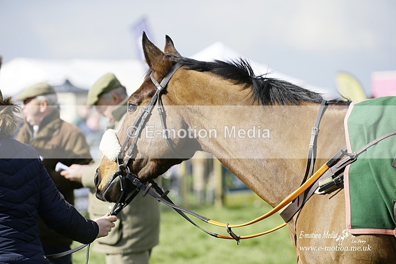 PtP 060322 129 - Blackmore & Sparkford Vale Hunt PtP 06/03/22