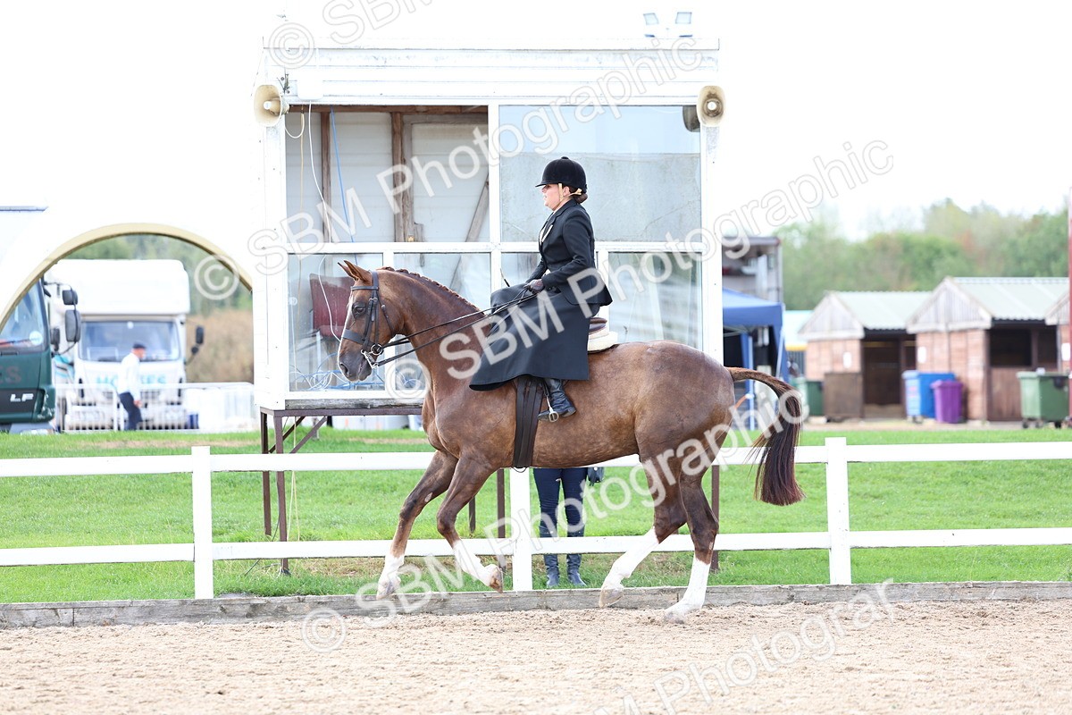 SBM_03209 - Class 22 - SSA Equitation (any age)