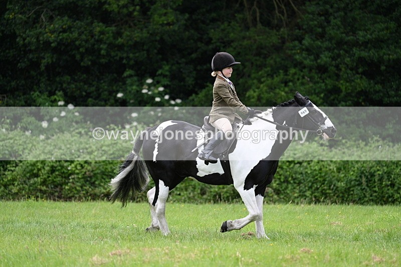 WJ7_2384 - Class 12A Coloured Class