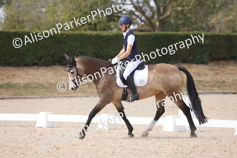 20260816-1143 - Class 4 - Novice 6