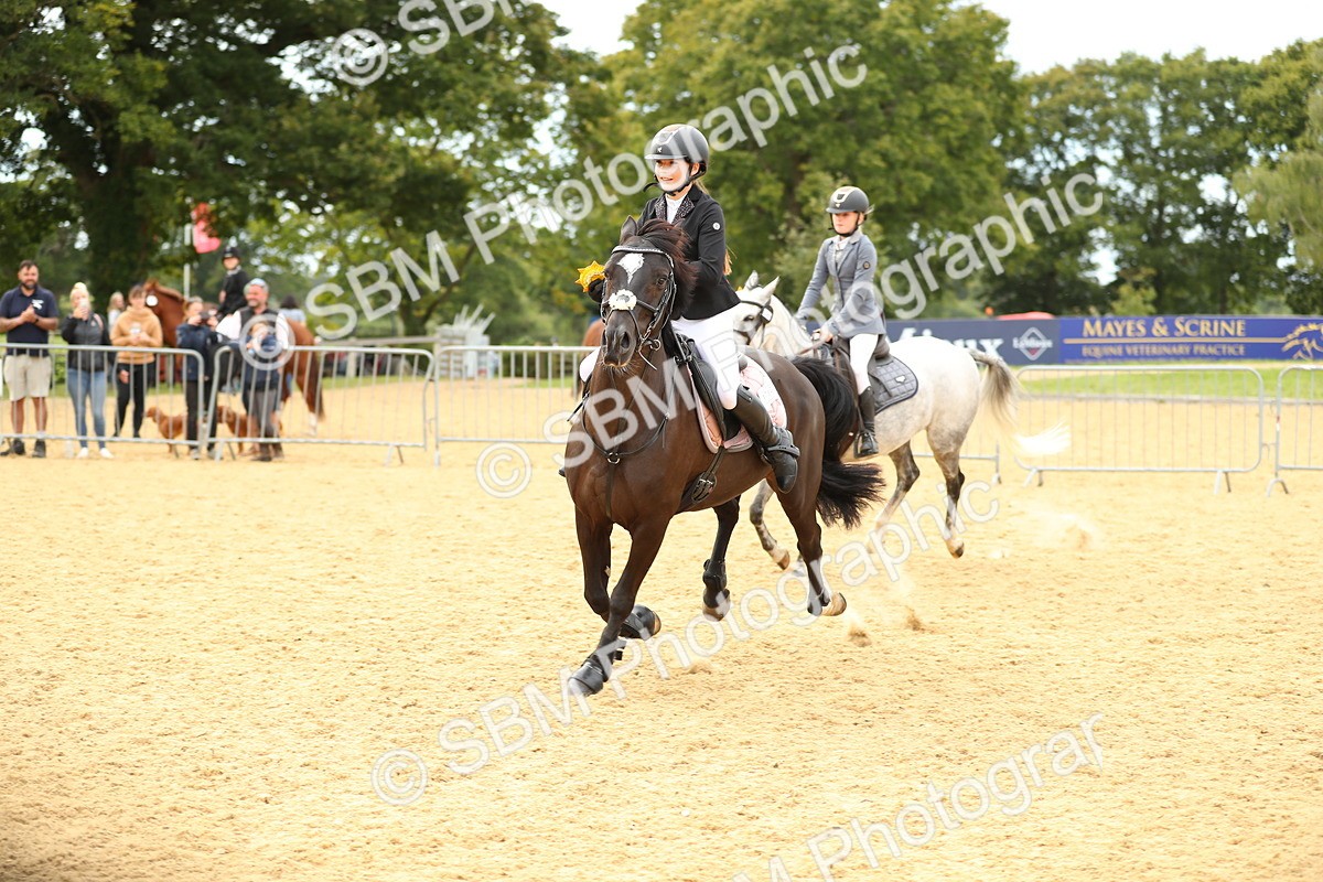 SBM_71360 - J18 - Junior Pony 85cm Championship