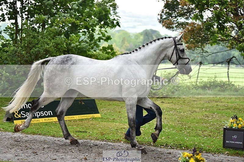 240522-164614-01143 - 281-UNSTOPPABLE_VAN_'T_CRAEYNEST_Z-Valentine_Emsens