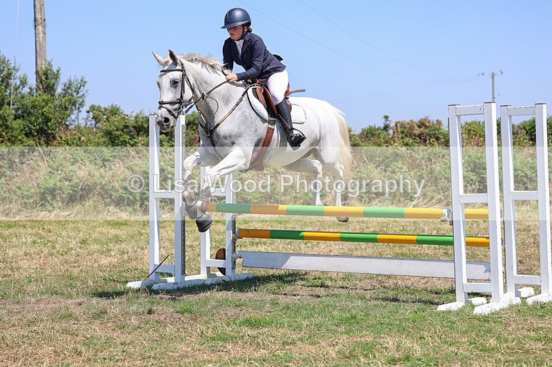 3E7A4390 - Class 10: Senior British Novice/90cm open