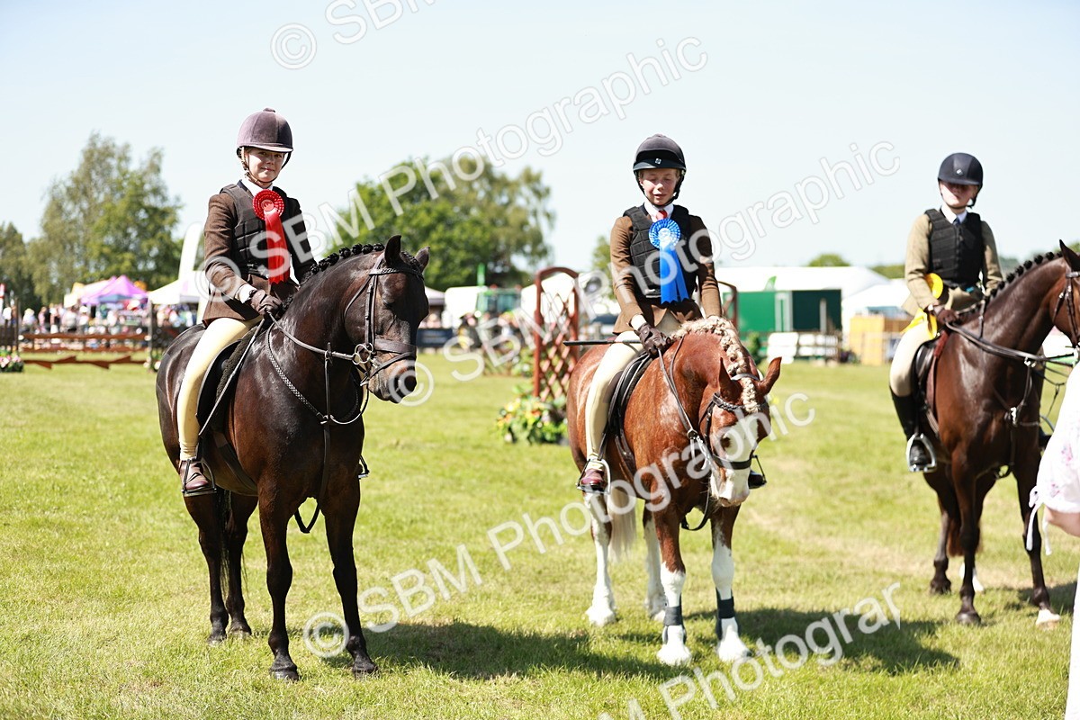SBM_17670 - Class 112-113 - BSPS LIHS Working Sports Pony