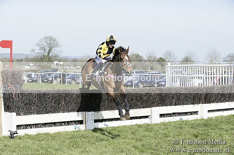 PtP 260317 134 - Mendip Farmers Point-to-Point Ston Easton 26/03/17