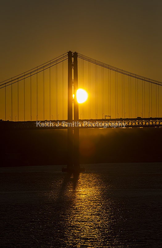 3KJS0773 - Worldwide