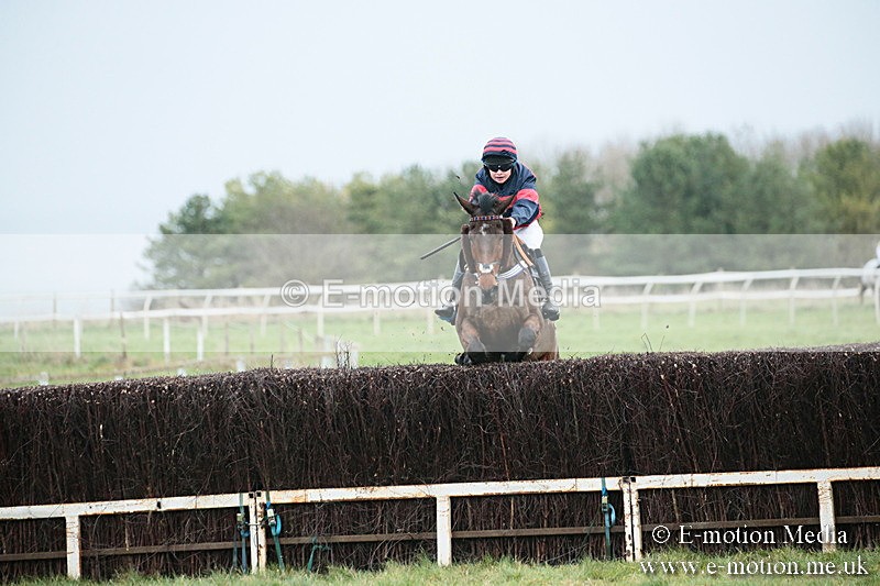 PtP 021218-88 - Hursely Hambledon Hunt Point-to-Point - Larkhill 02/12/18