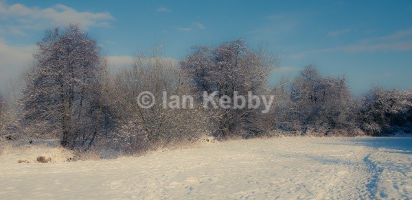  - Landscapes
