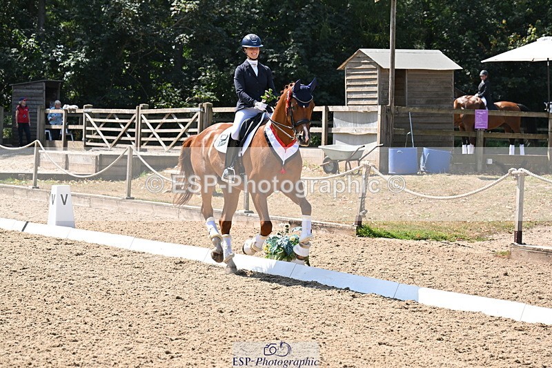 250810A-123431-06412 - Adv Medium GOLD Presentations