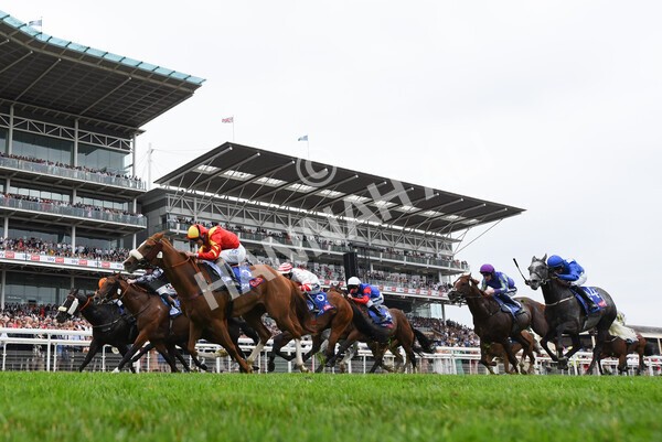 yr23072022r2-31 - Race 2 2.40pm Sky Bet Dash