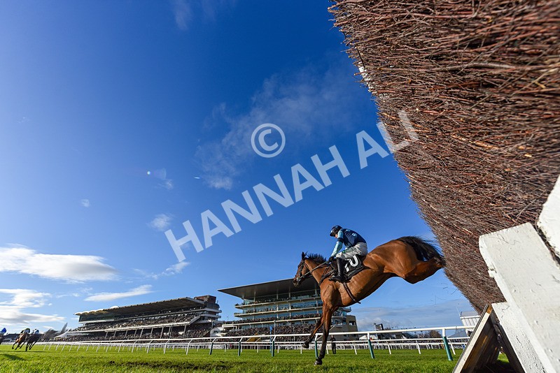 141224-Race 3-Shakeyatailfeather-9372 - Race 3