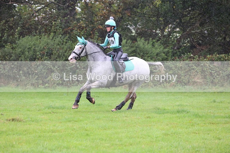 JPP_5418 - Class 4: 80cm: Crossed Logs