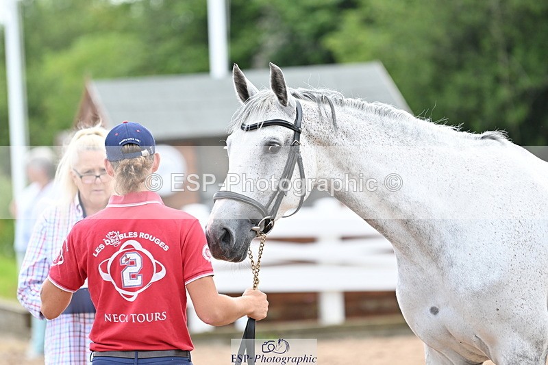 240717A-143802-02158 - Trot Up 2pm to 3pm - This folder is not in time order