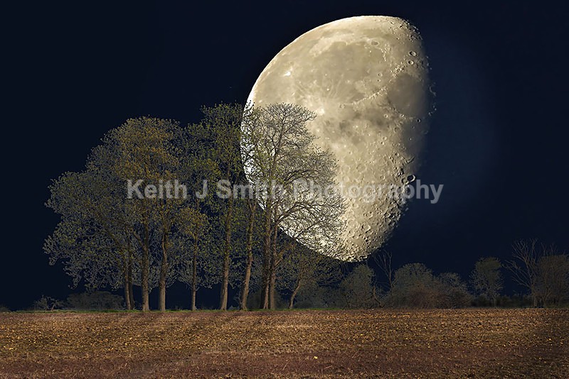 YR6M4686 - While your were sleeping