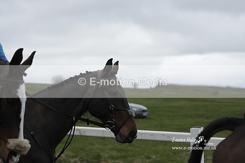 PtP 260323 0162 - New Forest Hounds Point-to-Point Larkhill 26/03/23