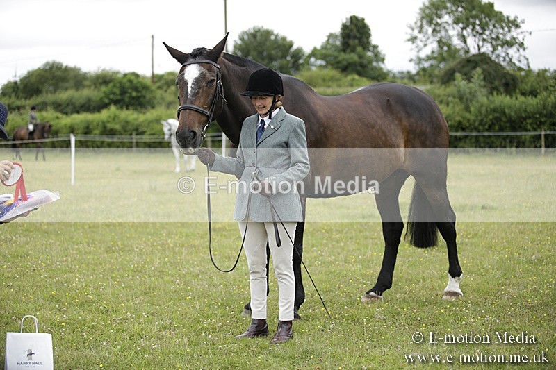 BVR160717-734 - Ring 2 BVRC Show 16/07/17