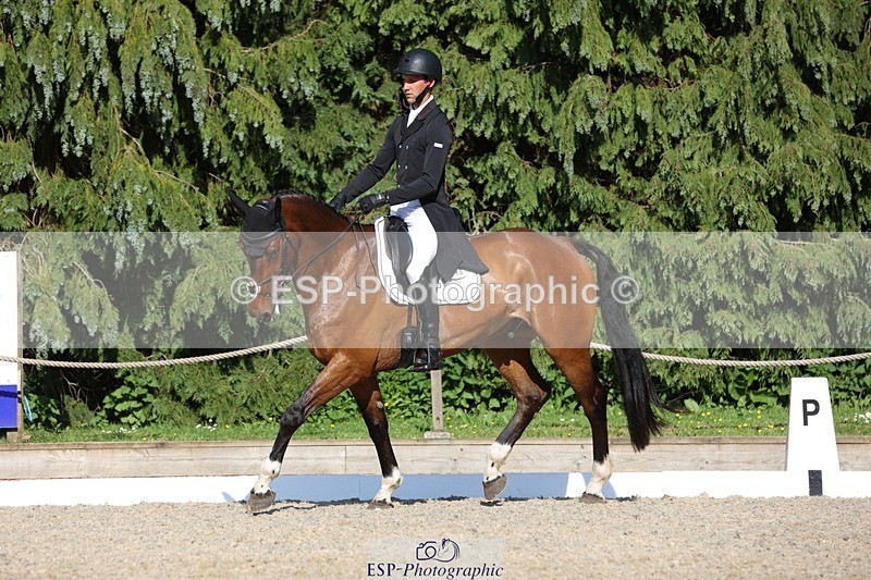 230526-174205-08011 - 180-GUEULE_DE_REVE-Arthur_Duffort-WEDTrotUp+DR