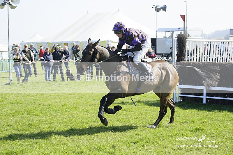 PtP 190322 295 - Wilton Hunt PtP Milborne St Andrew 19/03/22