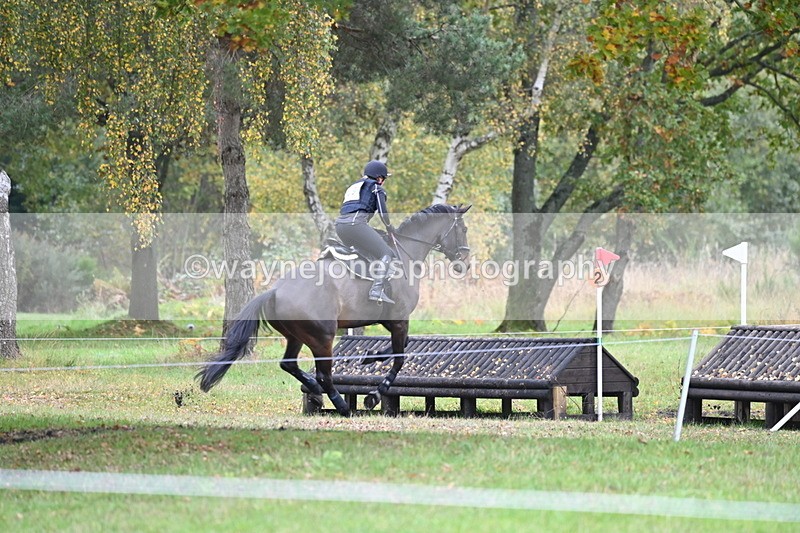 WJ6_3969 - 90cm Cam 1 Time 14:05 to 14:35