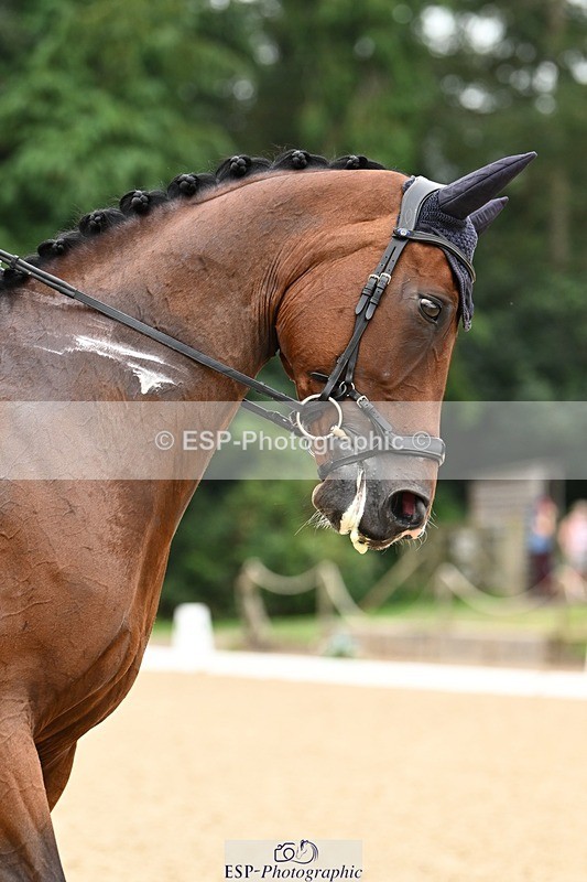 240811-105026-05340 - 213-Bryony.Goodwin-Dion.II