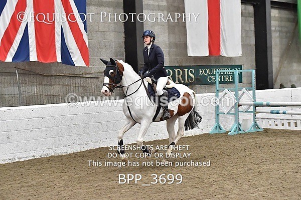 BPP_3699 - FRI CLASS 21 BR NOVICE/90CM