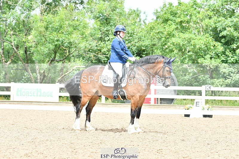 230702A-124412-09351 - Cls 29 Elementary 57