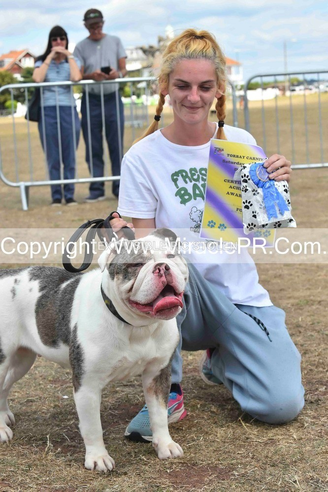 SH4_0207 - Dog show.