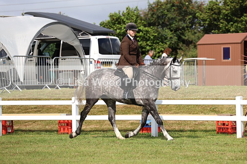 3E7A8829 - Class 3: Rising Star S/L Hunter