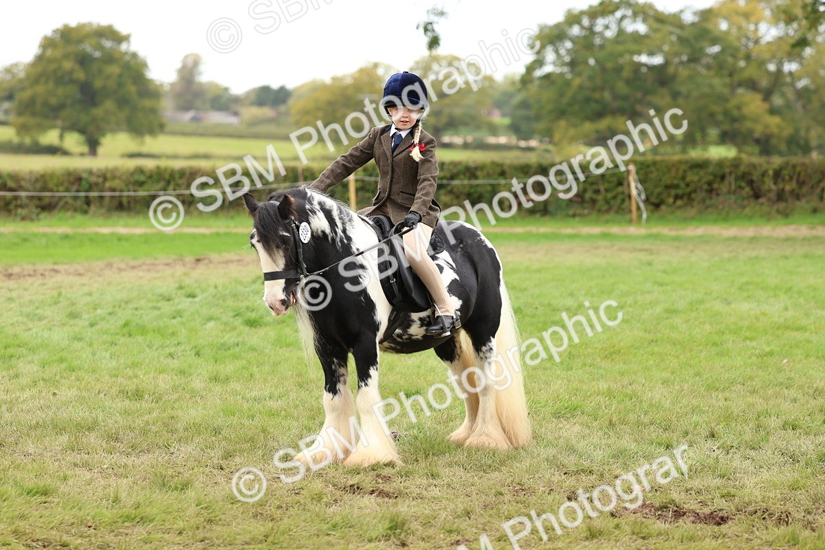 SBM_64653 - S58 - Coloured Pony Ridden