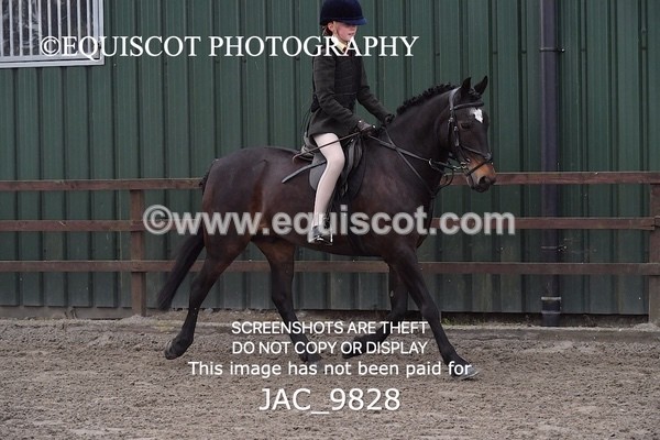 JAC_9828 - CLASS 2 Novice Working Hunter (0.60m - 0.70m)