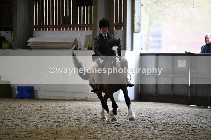 WJ5_7224 - Class 11 Ridden PC - RC Pony