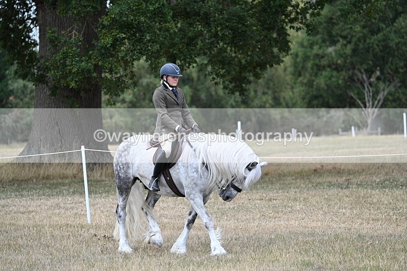 WJ7_4743 - Class 12 Ridden Cob