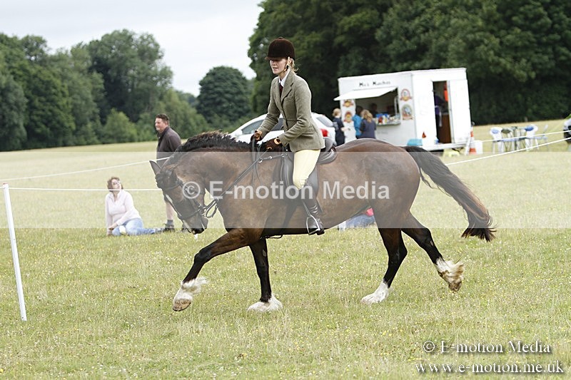 BVR160717-402 - Ring 3 BVRC Show 16/07/17