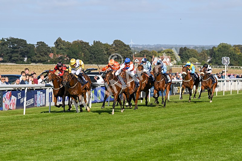 180924-Race 6-Elegant Erin-5016 - Race 6