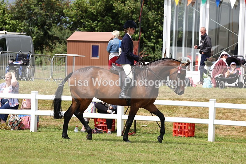 3E7A0857 - Class 8: Open Riding Horse/Hack