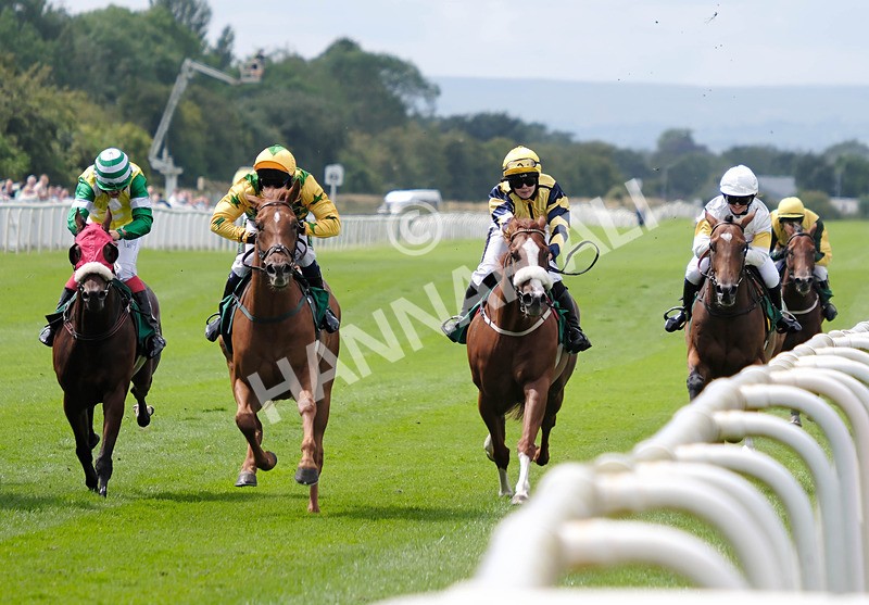 260724-Graham Lee Stable Staff Stakes-02 - Graham Lee Stable Staff Stakes
