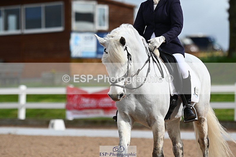 240323A-104258-01417 - DR Prelim 2