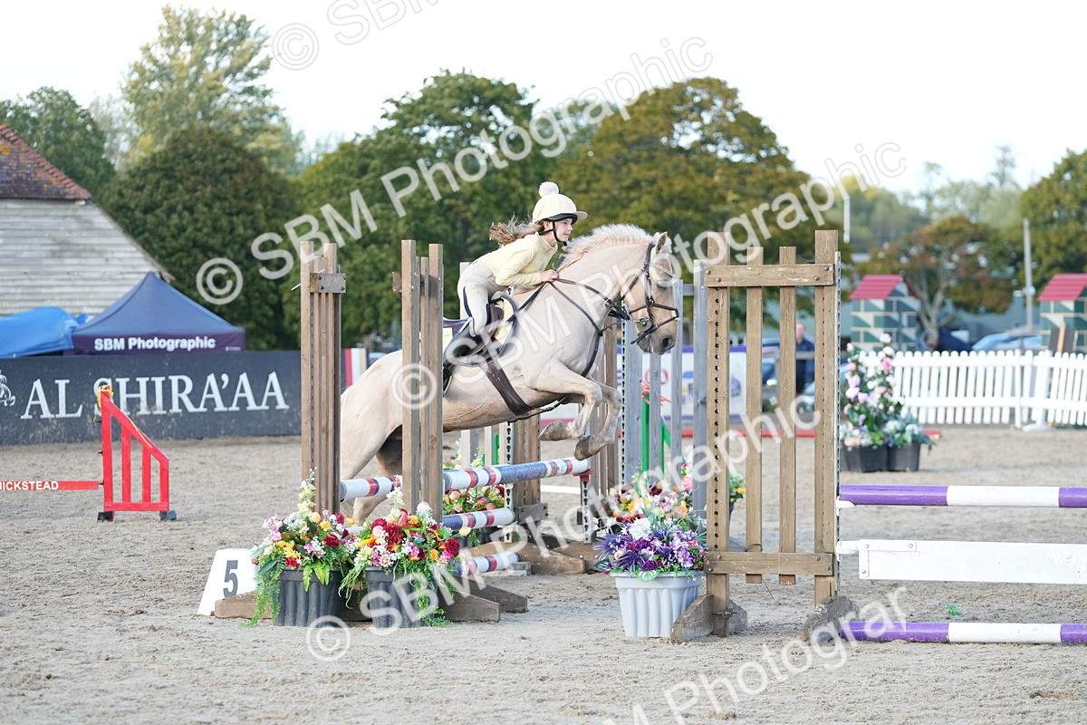 SBM_29470 - J44 - Horse & Hound Open 70cm