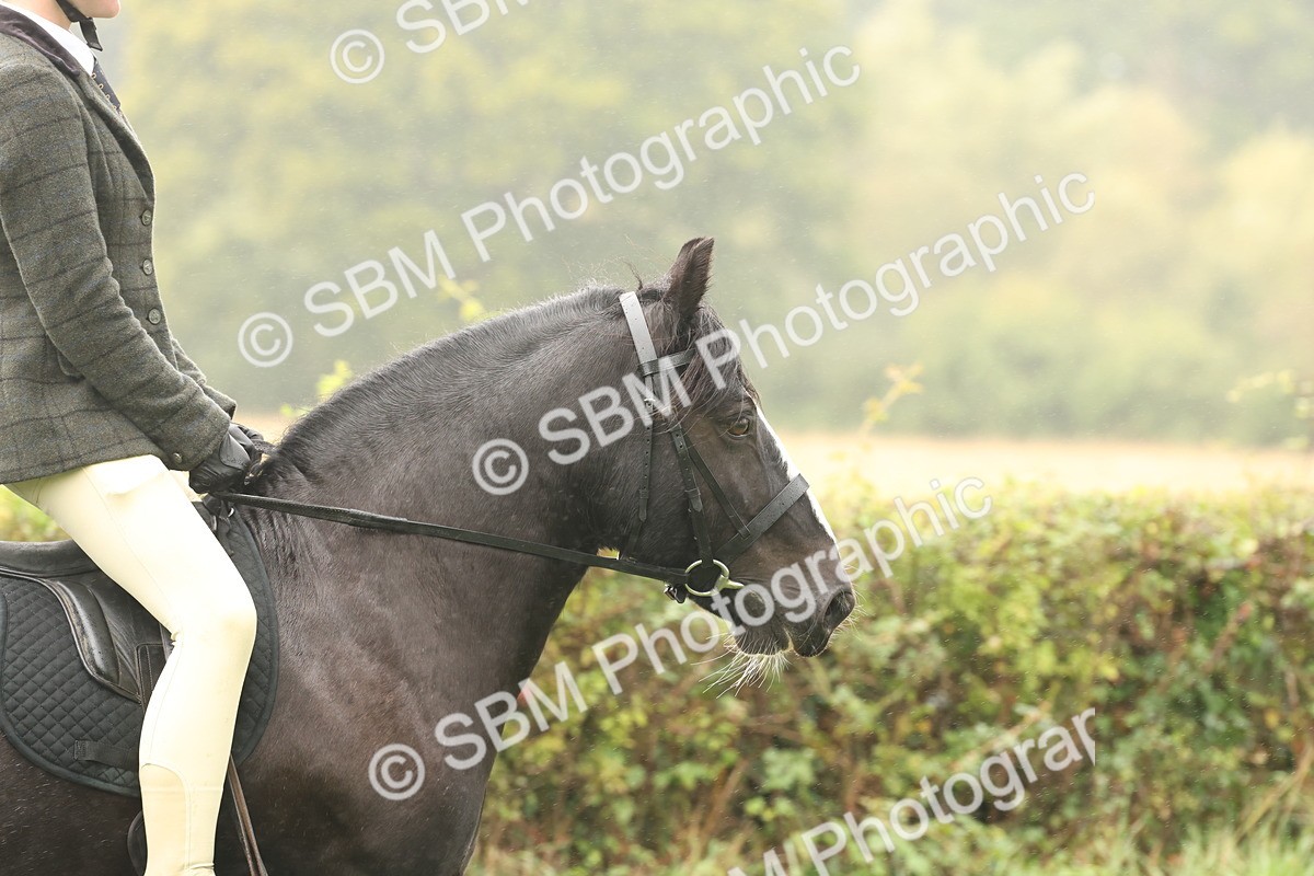 SBM_72683 - S70 - Traditional Cob Ridden