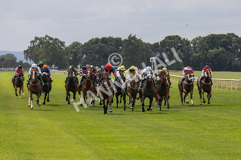 240624-Race 3-Eternal Sunshine-0173 - Race 3