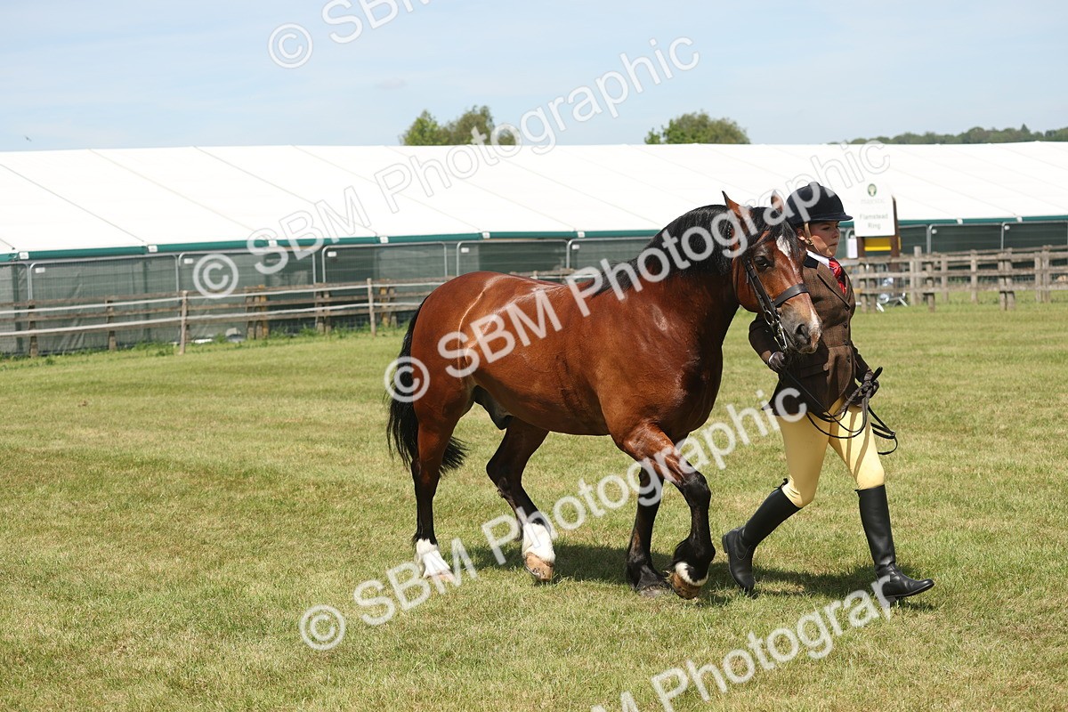 SBM_06982