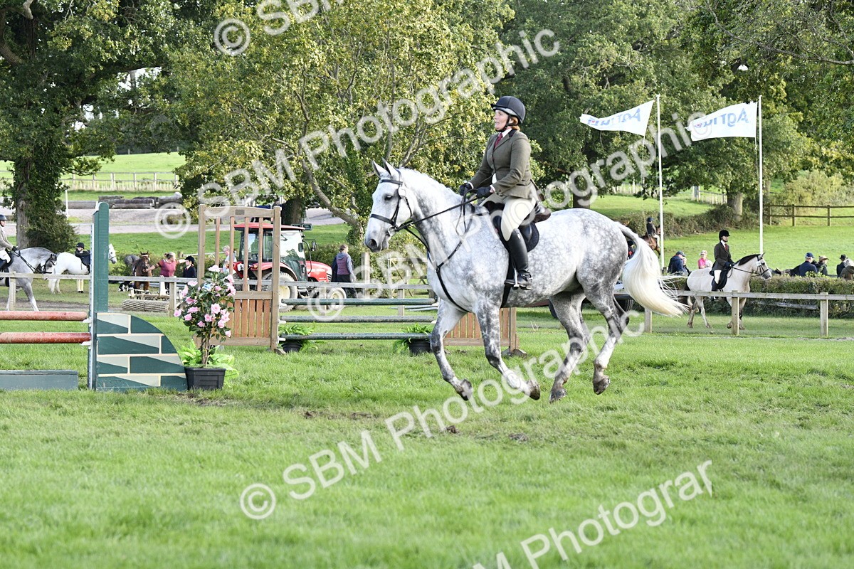 SBM_52173 - S35 - Working Hunter & Working Show Horse