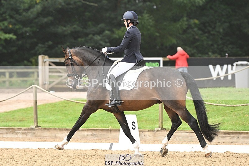 240811-101213-04952 - 170-Rebecca.Lee-Woolf-Fire